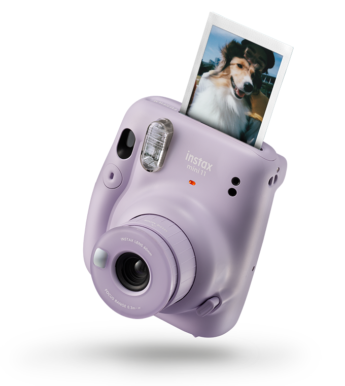 Lilac Purple