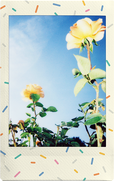 ml3-film-1