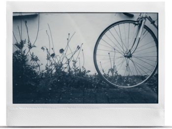 Monochrome