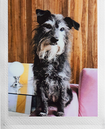 Mini12 Film2