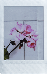 film-indoor-5