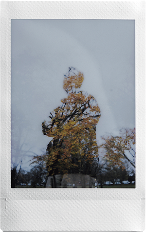 vignette-img2