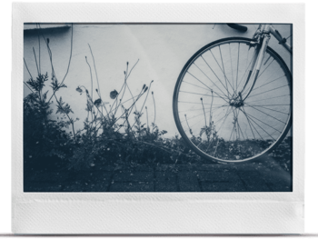 Monochrome