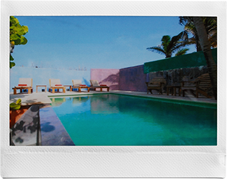 Link Wide Gallery 1