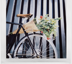 Film 1