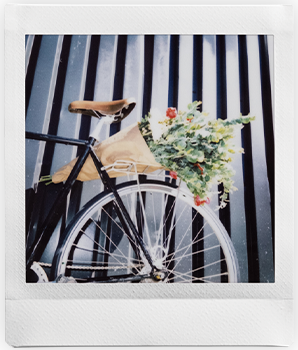 Film 1